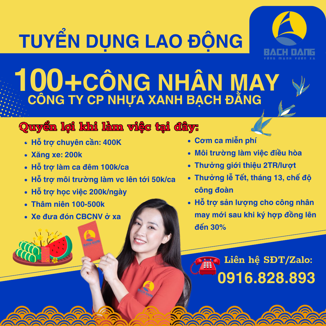 lĩnh vực hoạt động